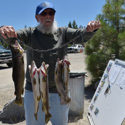 Kiwanis Special Olympics Trout Derby - 2016 Bill Klatskin of Torrance, CA