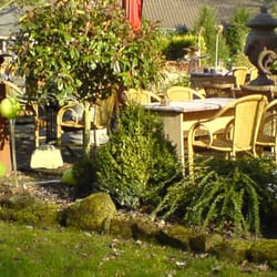 Frühlingserwachen im Park