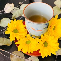Jsong's Acupuncture & Herbal Medicine Clinic - * fertility for each husband & wife * respiratory disease plus immune system * female issues due to hormone change including fibroids