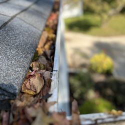 Somebody's Gotta Do It - Clogged gutters