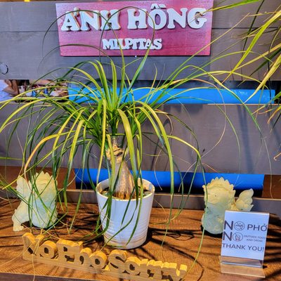 Anh Hong Saigon by null