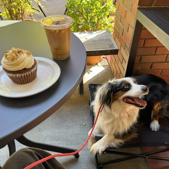 Sit Means Sit San Gabriel Valley - Pet Training Near Me - Glendora, California Sit Means Sit San Gabriel Valley - Pet Training Near Me - Glendora, California