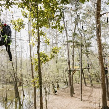 Tree Frogs Adventure Park - Amusement Parks Near Me - Covington, Louisiana Tree Frogs Adventure Park - Amusement Parks Near Me - Covington, Louisiana
