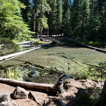 Clearwater Falls - Clearwater River above falls - Hiking Near Me - Clearwater Falls, Oregon