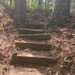 Montgomery Bell State Park
