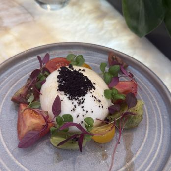 Oyster And Chop - Burrata - Seafood Near Me - Auckland, AUK Oyster And Chop - Burrata - Seafood Near Me - Auckland, AUK