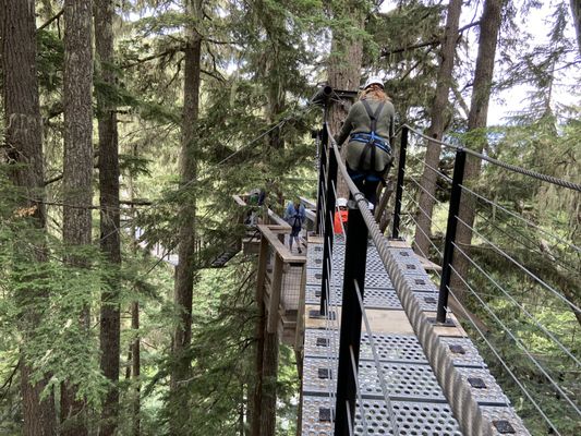 Ziptrek Ecotours by null