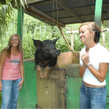 domino club st croix