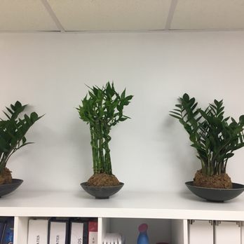 Kreative Gardens - Plants from Kreative Gardens!! - Nurseries & Gardening Near Me - Miami, Florida Kreative Gardens - Plants from Kreative Gardens!! - Nurseries & Gardening Near Me - Miami, Florida