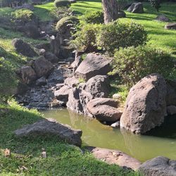 Bosque los Colomos