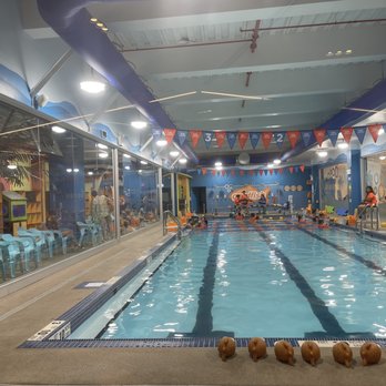 Tangram - Goldfish swimming school - Shopping Centers Near Me - Flushing, New York