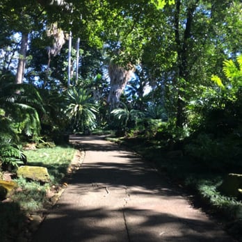 Foster Botanical Garden - A beautiful place to take a stroll. - Botanical Gardens Near Me - Honolulu, Hawaii Foster Botanical Garden - A beautiful place to take a stroll. - Botanical Gardens Near Me - Honolulu, Hawaii