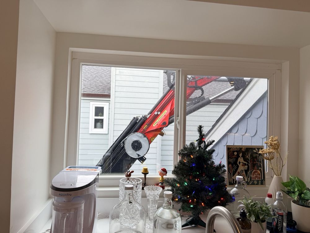 Julian’s Tree Care - tree service in San Francisco, CA