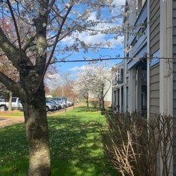 Spring is here! Spring is here!