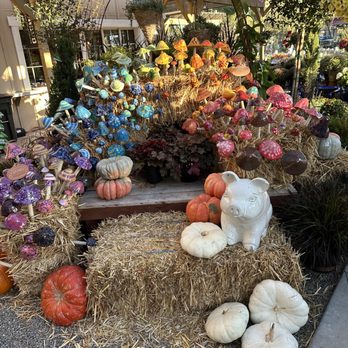 SummerWinds Nursery - Dublin - Nurseries & Gardening Near Me - Dublin, California