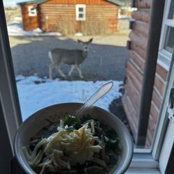 Aspen Ridge Cabins - Dinner with a deer!