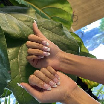 Venus Nail Spa - Nail Salons Near Me - Los Gatos, California Venus Nail Spa - Nail Salons Near Me - Los Gatos, California