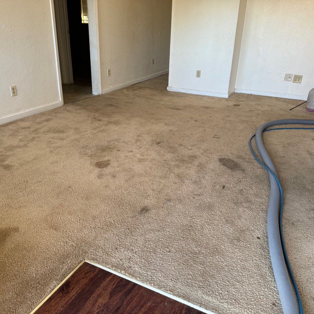 Extreme Steam - Carpet Cleaning Near Me - Hughson, California
