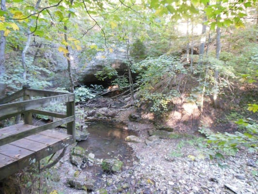 Rock Bridge Memorial State Park by null