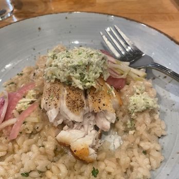 The Fat Snook - This is the $56 snapper on mushroom risotto. - Seafood Near Me - Cocoa Beach, Florida The Fat Snook - This is the $56 snapper on mushroom risotto. - Seafood Near Me - Cocoa Beach, Florida