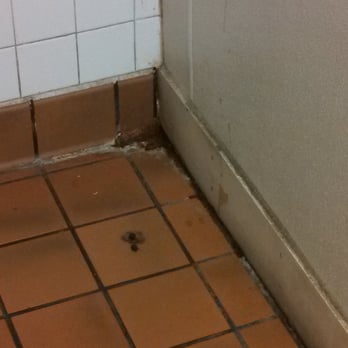 Popeyes Louisiana Kitchen - Dirt build up in the corner of the men's room near the entrance door. - Chicken Wings Near Me - Annapolis, Maryland Popeyes Louisiana Kitchen - Dirt build up in the corner of the men's room near the entrance door. - Chicken Wings Near Me - Annapolis, Maryland