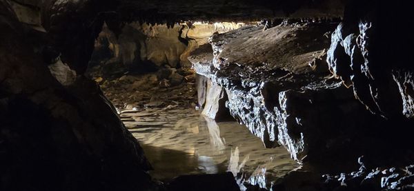 Bell Witch Cave by null