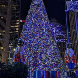 Fox News - Fox News Tree