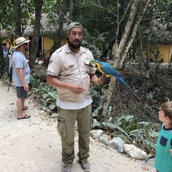Akumal Monkey Sanctuary - Who wants to pose with a parrot - Zoos Near Me - Akumal, ROO Akumal Monkey Sanctuary - Who wants to pose with a parrot - Zoos Near Me - Akumal, ROO