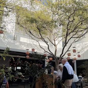 LULU Restaurant LA - lovely patio - New American Near Me - Los Angeles, California LULU Restaurant LA - lovely patio - New American Near Me - Los Angeles, California