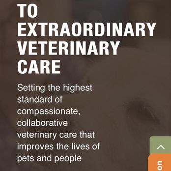 SAGE Veterinary Centers - Concord - Sage website says... - Veterinarians Near Me - Concord, California