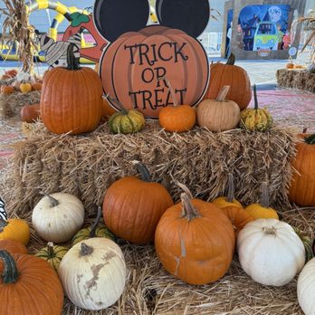 Fallstivities Pumpkin Patch - Pumpkin Patches Near Me - Cerritos, California Fallstivities Pumpkin Patch - Pumpkin Patches Near Me - Cerritos, California