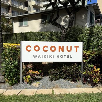The Coconut Waikiki Hotel - Hotels Near Me - Honolulu, Hawaii The Coconut Waikiki Hotel - Hotels Near Me - Honolulu, Hawaii