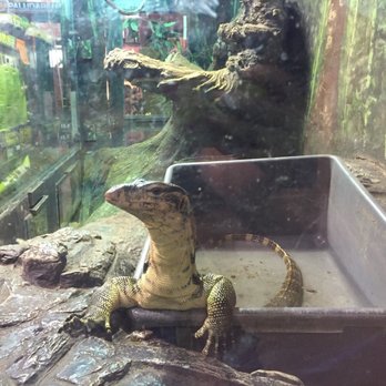 East Bay Vivarium - Reptile Shops Near Me - Berkeley, California