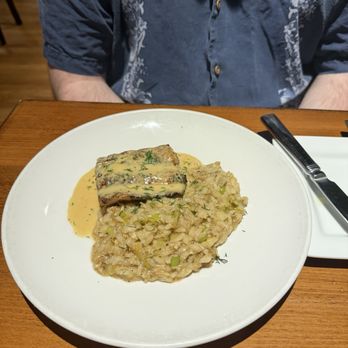 Lento Restaurant - Pan Roasted Mahi Mahi - New American Near Me - Rochester, New York