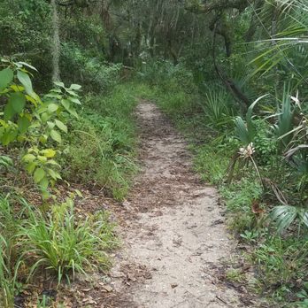 Enchanted Forest Sanctuary - Hiking Near Me - Titusville, Florida Enchanted Forest Sanctuary - Hiking Near Me - Titusville, Florida