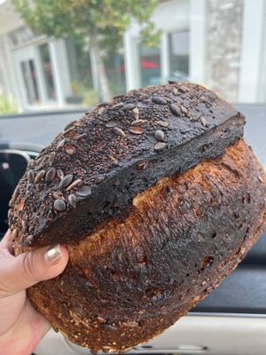 Lodge Bread Company by null