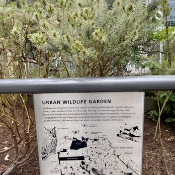 Salesforce Park - 10.15.22 home to 600 trees and 16,000 plants arranged in 13 different botanical feature areas - Parks Near Me - San Francisco, California