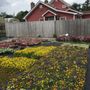 Photo of Locust Avenue Farm