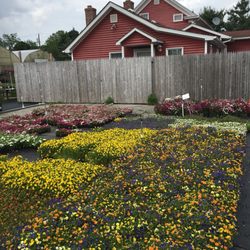 Locust Avenue Farm