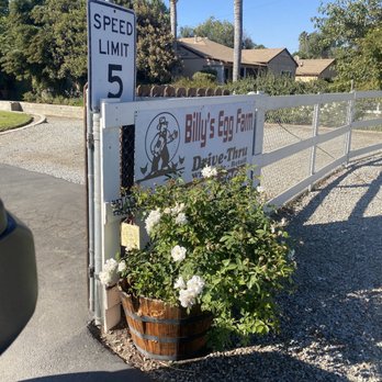 BILLY’S EGG FARM - Updated December 2024 - 522 Photos & 687 Reviews