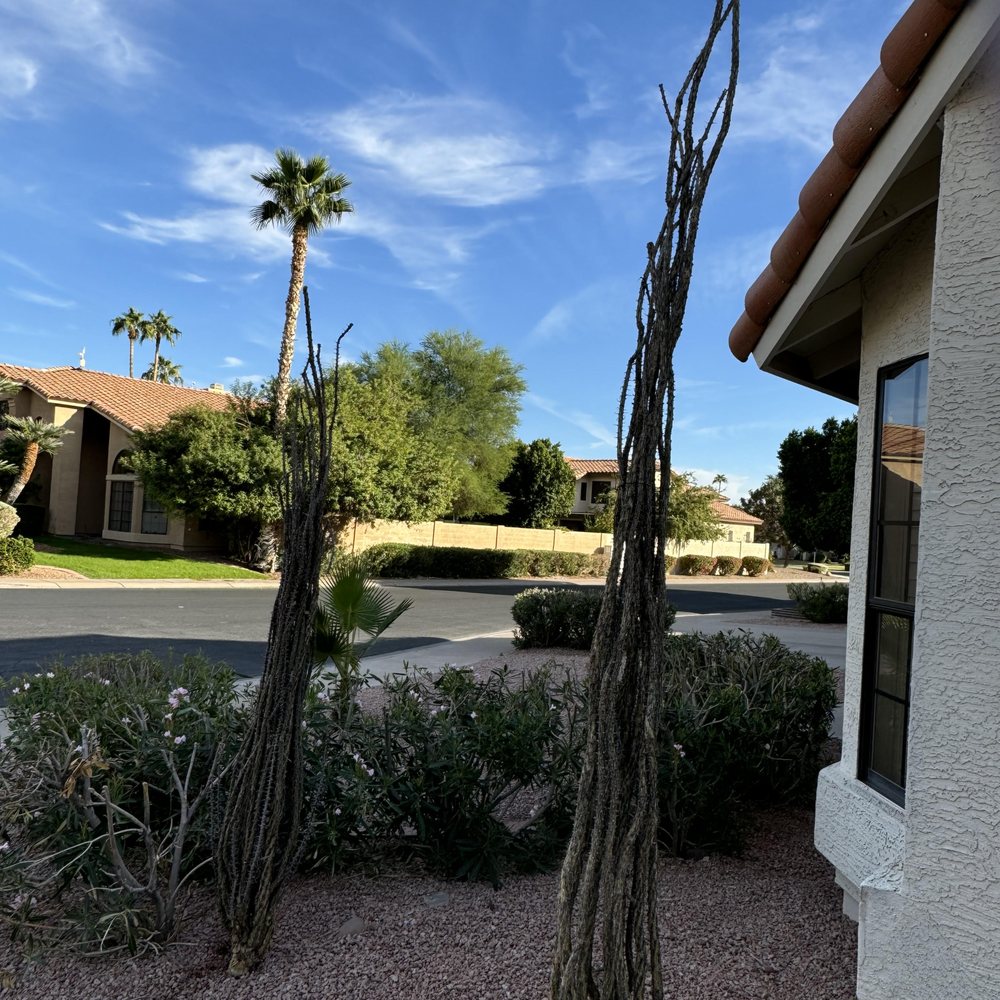 TOP 10 BEST Landscape Maintenance near Paradise Valley, AZ - Updated 2026 -  Yelp