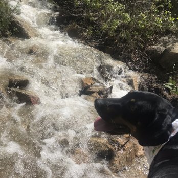 Bonneville Shoreline Trail - Jack by the river - Hiking Near Me Bonneville Shoreline Trail - Jack by the river - Hiking Near Me