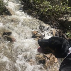 Bonneville Shoreline Trail - Jack by the river