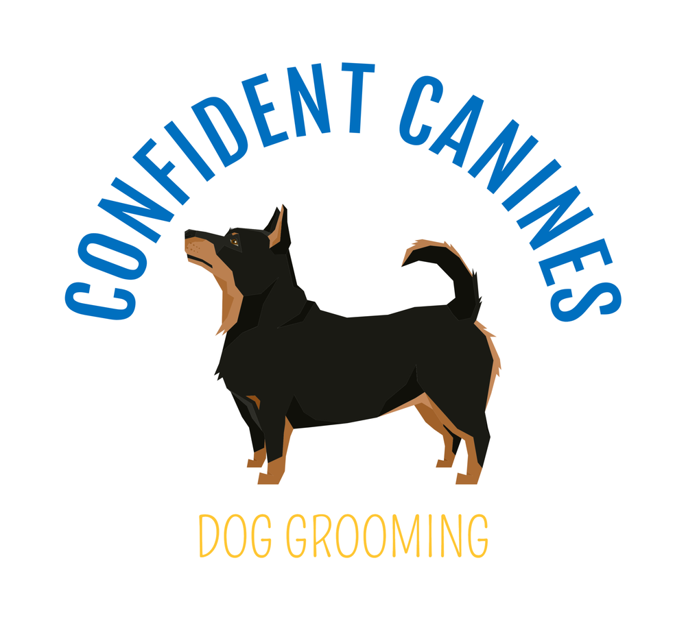 CONFIDENT CANINES DOG GROOMING Updated August 2024 York, Pennsylvania Pet Groomers Phone