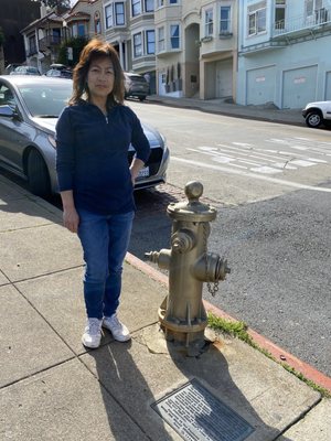 The Golden Fire Hydrant by null