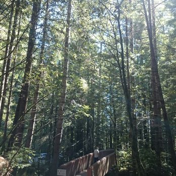 Lady Bird Johnson Grove - Hiking Near Me - Orick, California Lady Bird Johnson Grove - Hiking Near Me - Orick, California