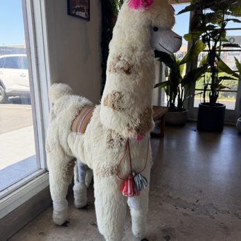 Flama Llama - Latin American Near Me - San Diego, California Flama Llama - Latin American Near Me - San Diego, California