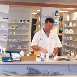 Hayes Drug