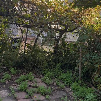 G&C Landscaping - Landscaping Near Me
