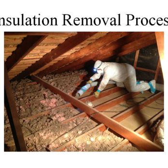 Dahl Attic Cleaning - Cleaning Process - Environmental Abatement Near Me Dahl Attic Cleaning - Cleaning Process - Environmental Abatement Near Me